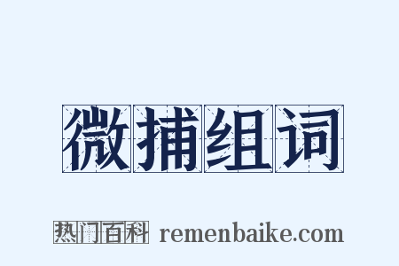 微捕组词是什么意思的图片